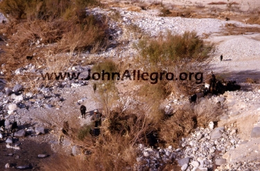 25 Upper Mujib Valley