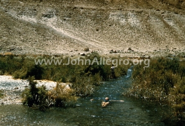16 Ain Freshka - John Marco Allegro for a swim